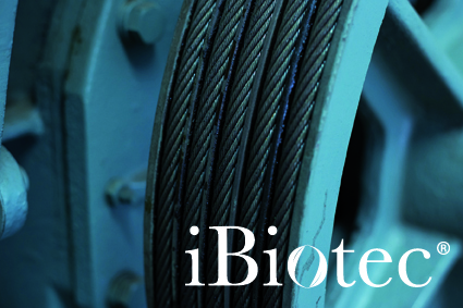 adhesive bituminous lubricant for metal cables, handling and lifting chains and open gears. submerged lubrication. special lubricant for metal cables and open devices. handling and lifting chains. extreme pressure, anti-wear. Bituminous spray. aerosol bituminous coating. cable lubricant.  cable aerosol lubricant. chain lubricant. lifting chain lubricant. Lifting chain grease. Handling chain lubricant. Handling chain grease. aerosol chain lubricant. grease for metal cables. grease for steel cables. grease for open devices. lubricant for open devices.  Gear lubricant. technical greases. ibiotec technical greases. industrial lubricants. technical grease manufacturer. Industrial grease manufacturer. industrial lubricant manufacturer.  Technical grease supplier.  Industrial grease supplier. industrial lubricant supplier. 